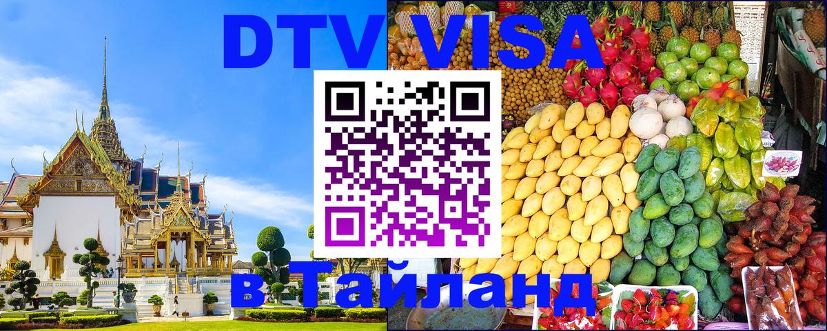 Оформление DTV визы под ключ: стоимость и тарифы, только загранпаспорт - 