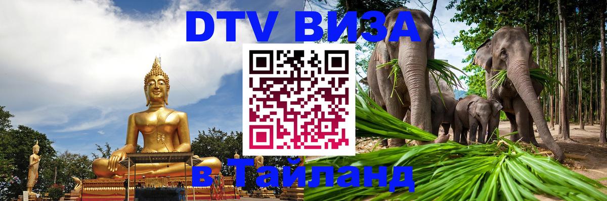 DTV Visa Тайланд купить 